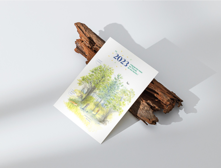 Carte de vœux illustrée
