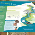 Panneau de signalétique : microplastiques - Aleksandra Delcourt - graphisme écoresponsable