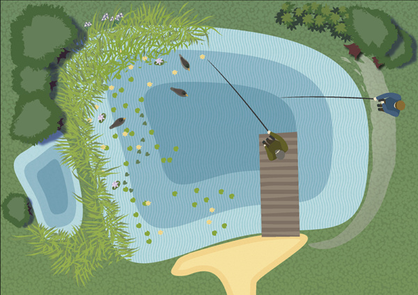 mallette polinisateurs - illustration Aleksandra Delcourt - graphisme écoresponsable