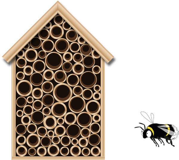 Hôtel à abeilles - mallette polinisateurs - illustration Aleksandra Delcourt - graphisme écoresponsable